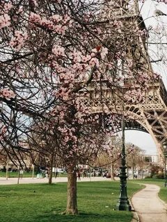 Paris with me