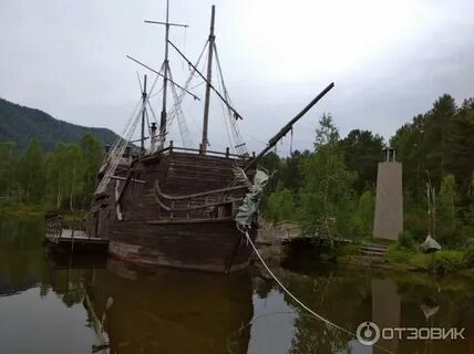 Тортуга черемушки