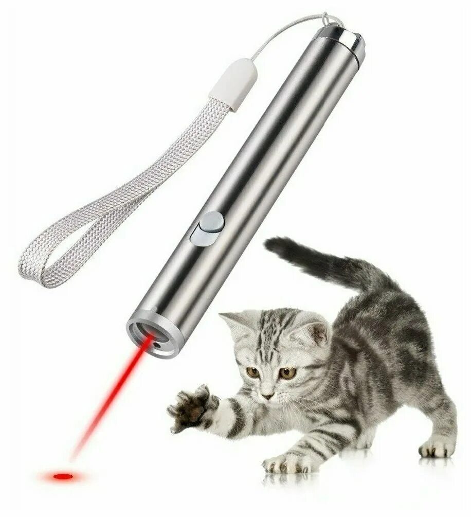 Кошка играет указкой. Cat Toys лазерная указка. Cat Toys лазерная указка красная. Лазерная указка Амазон. Лазер для кошек.