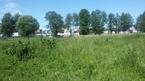 Погода в золотово воскресенский