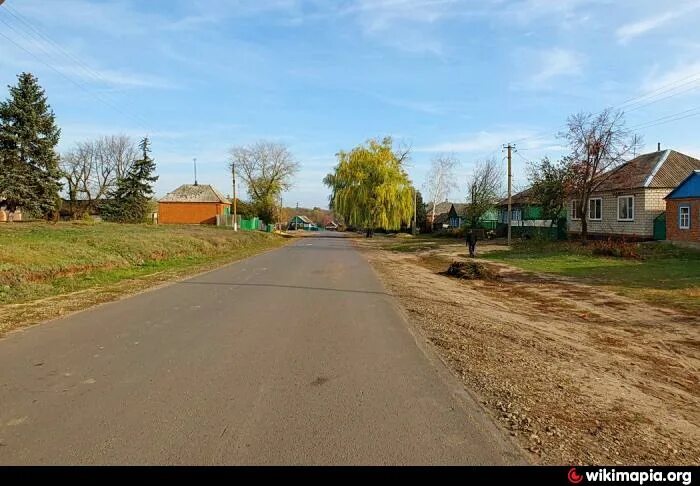Погода дибровый. Кашары. Погода дибровый. Погода дибровый. Погода дибровый.