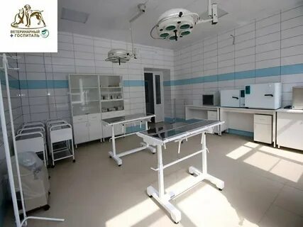 Фото мичуринский госпиталя