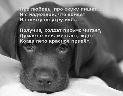 Цитаты про скуку