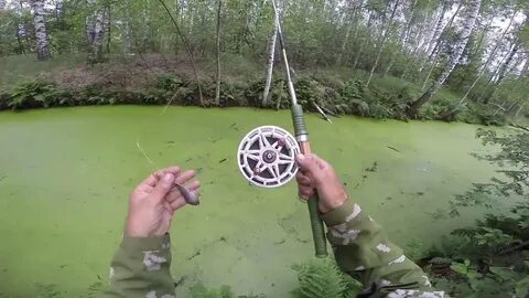 Заброс приманки