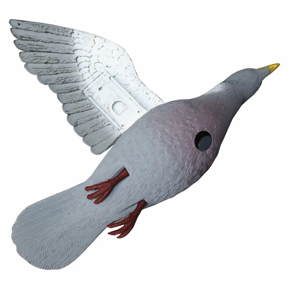 Махокрыл горлицы. Голубь вяхирь чучела 10 шт софтпласт. Чучела вяхиря sport plast. Чучела голубей. Голубь вяхирь чучела спорт пласт скорлупа.