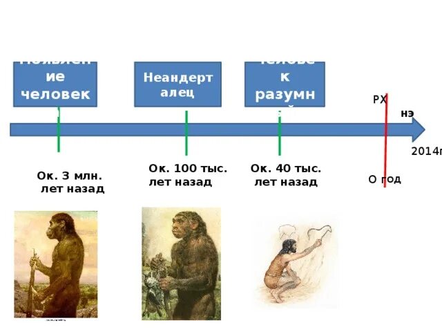 Сколько лет назад образовалась. Лента времени появление человека разумного. Линия времени по истории. Появление человека разумного 40 тыс лет назад. Появление человека разумного и земледелия на ленте времени.
