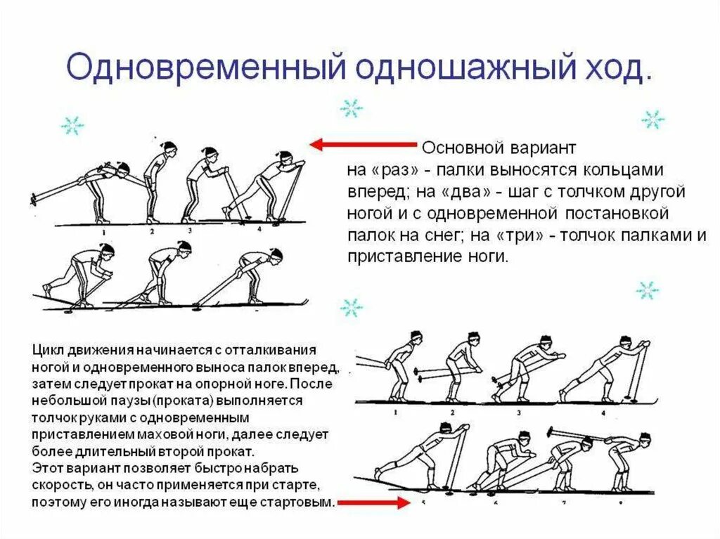 Лыжный спорт виды лыжных ходов. Переменный одношажнвый ход техника. Лыжные ходы одновременный двухшажный ход на лыжах. Техника лыжных ходов одношажный ход двухшажный. Техника выполнения лыжных ходов одновременный двухшажный ход.