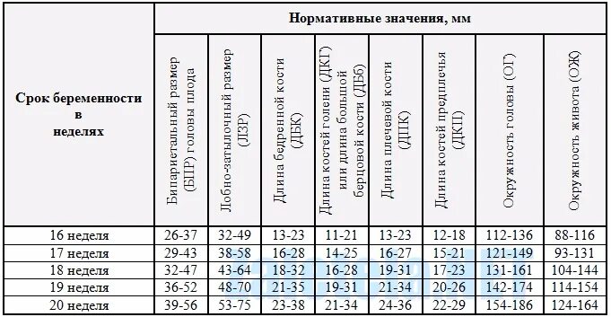 Нормы УЗИ В 20 недель беременности нормы. Таблица размеров плода по УЗИ 3 триместра. Нормы размера плода по УЗИ по неделям беременности. Скрининг 20 недель беременности показатели. Сколько будет 19 недель