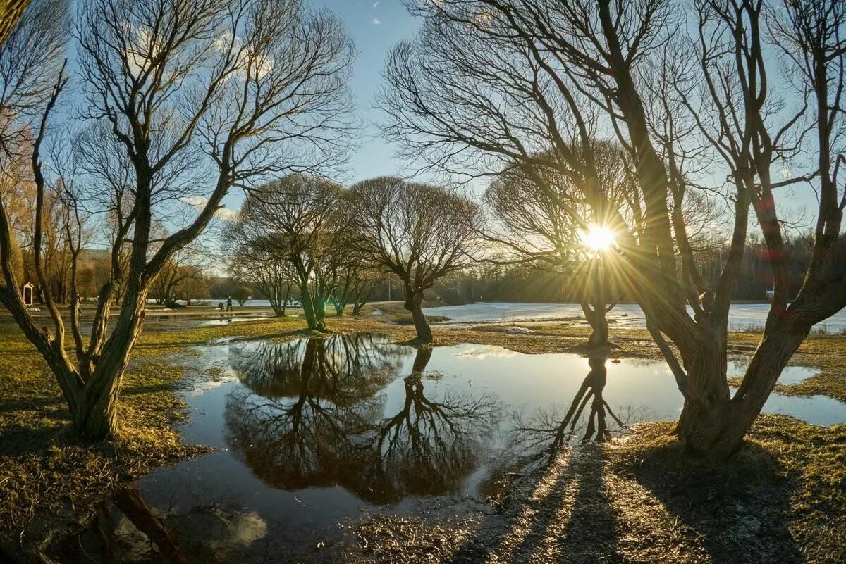 Весенний апрельский день. Майское солнце. Яркое солнце ранней весной. Солнечные дни апреля. Веточка вербы.
