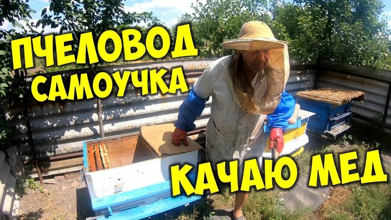 Пчеловод получает с умного улья данные. Отбор мёда. рамки медовые для откачки. помещение для откачки меда своими руками. пчеловод как он кэт сосиска.