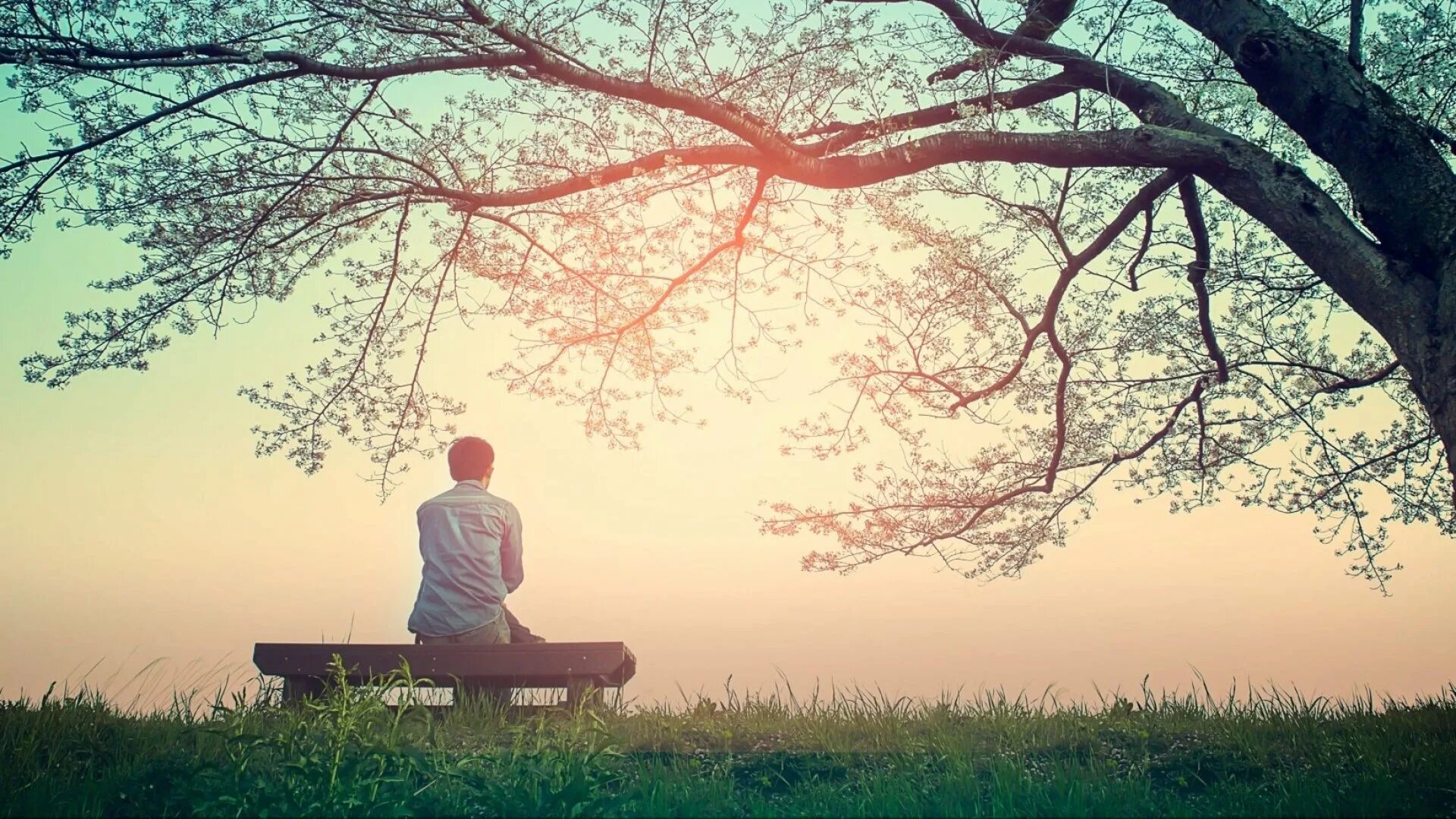 Peace when