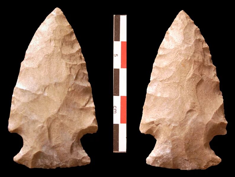 Орудия труда и охоты первобытных людей. Последовательность орудия труда. Самое первое орудие труда первобытного человека. Скребло орудие труда первобытного человека. Производящие орудия труда.