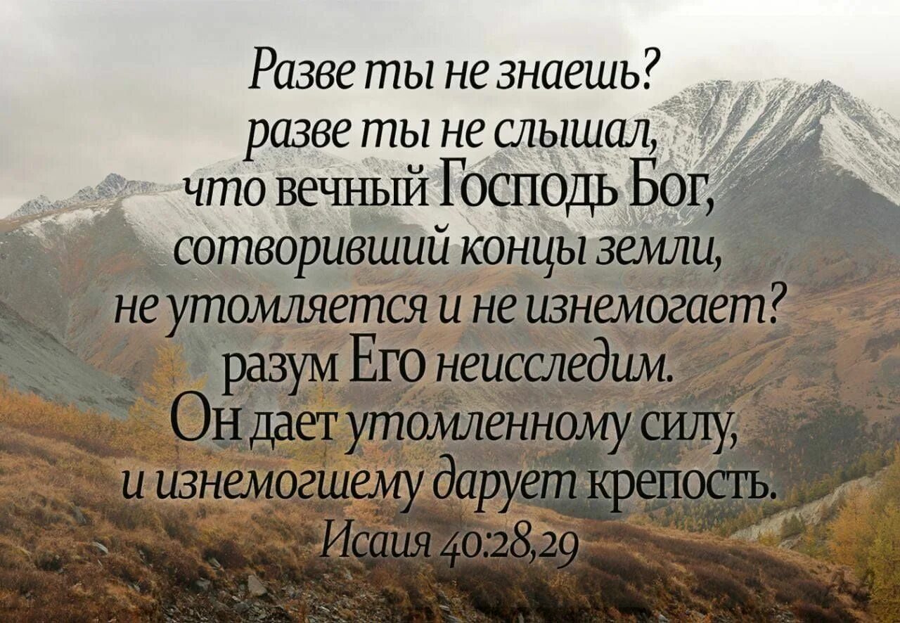 Проклят надеющийся. Библейские стихи. Цитаты из Библии. Бог дает утомленному силу и изнемогшему дарует крепость. Христианские цитаты из Библии.