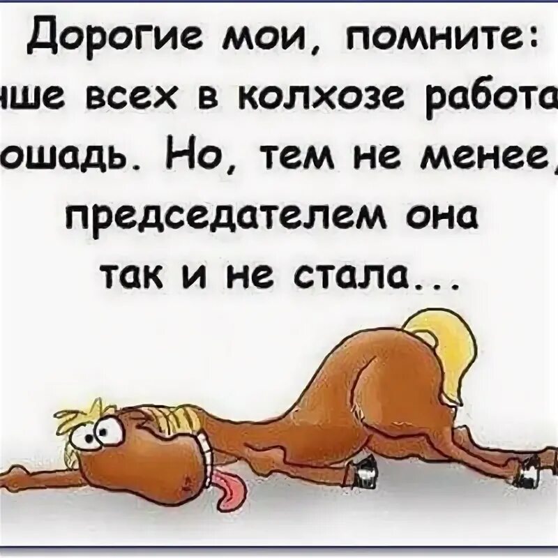 Я работаю как и все здесь. В колхозе больше всех работала лошадь. больше всех в колхозе работала лошадь но председателем. работаю как лошадь. лучше всех в колхозе работала лошадь но председателем картинка.