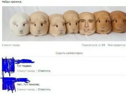 Ищу подвох