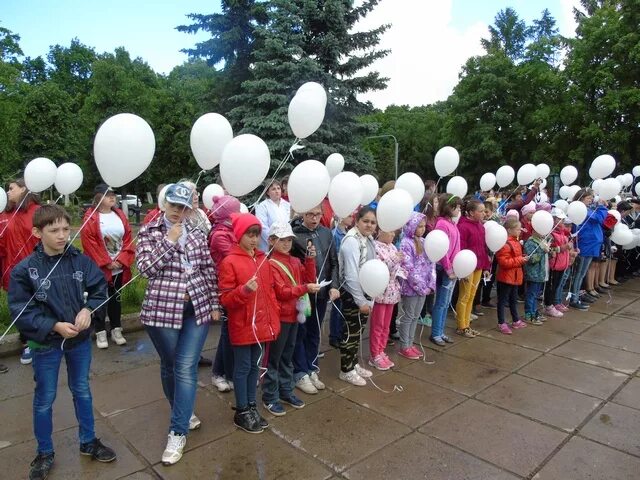 Фото акции журавли