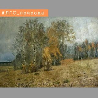 Поздняя осень описание
