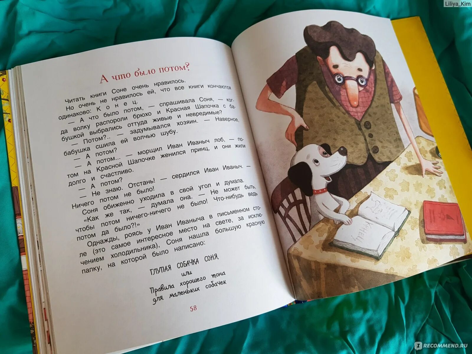 Рассказы умная собачка. Усачев собачка соня. умная собачка соня книга. умная собачка соня андрей алексеевич усачёв книга. умная собачка соня или правила.