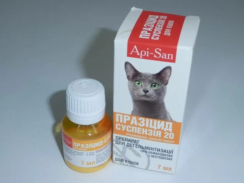 Что можно дать котенку от глистов. Празицид плюс суспензия котята, 5 мл. празицид суспензия для котят. празицид плюс суспензия для кошек 7 мл. суспензия от глистов для котят.