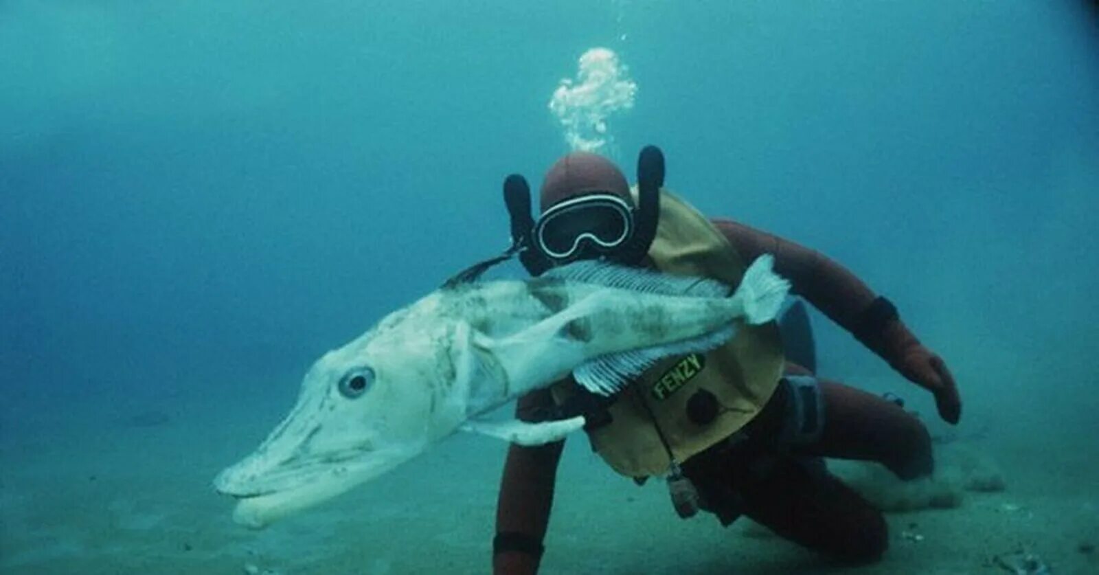 Icefish