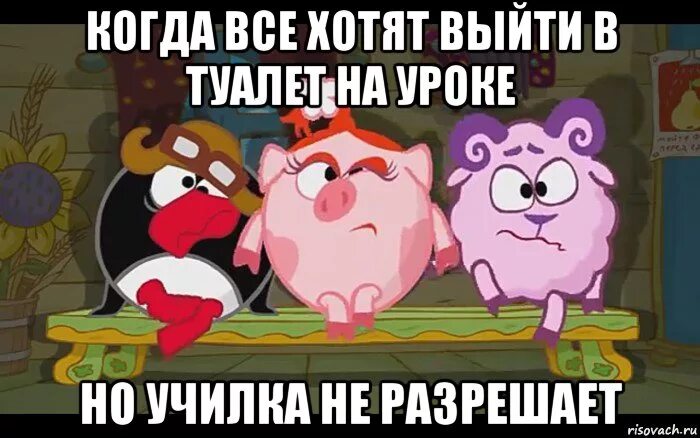 Не хожу в школе в туалет. Смешарики мем с туалетом. смешарики рисовач мемы. мемы из смешариков на уроков. смешарики туалет.