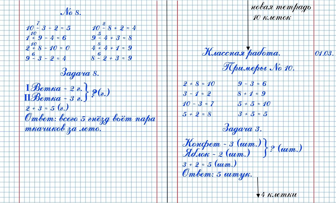 Сколько клеток в 1 7