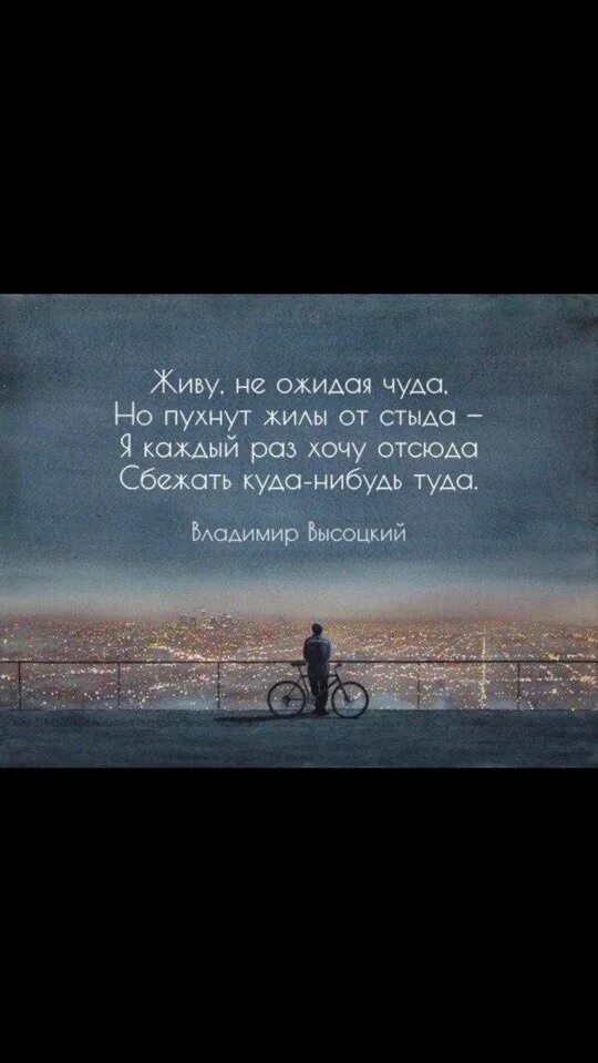 Живу не ожидая чуда но пухнут. Живу не ожидая чуда но пухнут жилы от стыда. Стих живу не ожидая чуда но пухнут жилы от стыда. Я каждый раз хочу отсюда сбежать куда-нибудь туда текст.