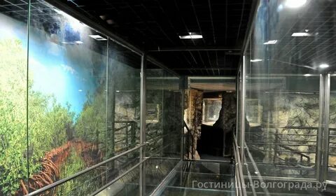 Океанариум волгоград