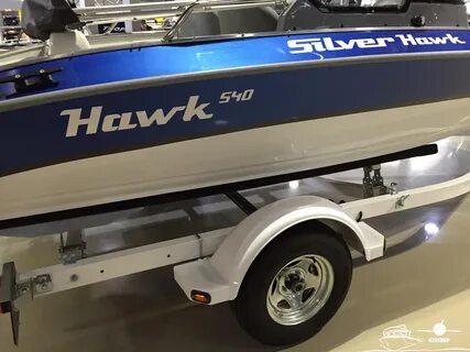 Silver hawk