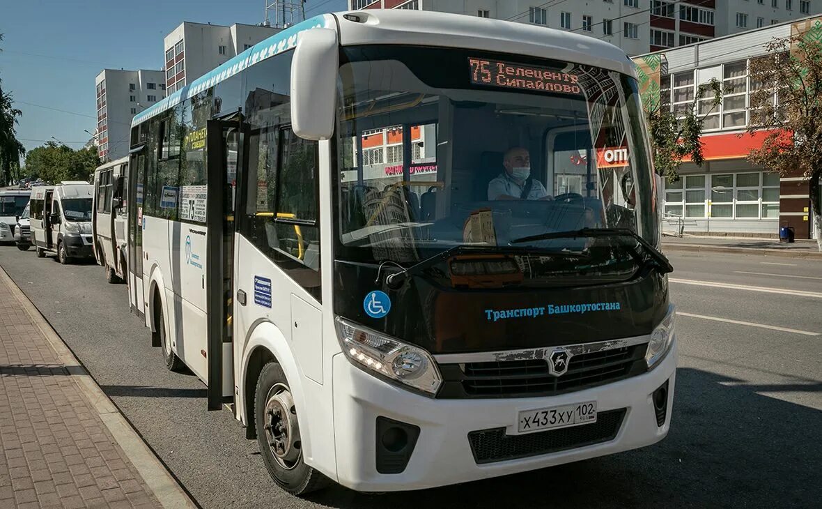 Городские маршрутные автобусы. Городские автобусы Уфа. Уфа автобус для сотрудников. Сокращение автобусов. Туи компания автобусы и маршрутки.