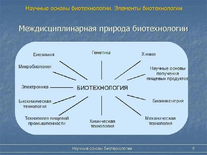 Перечислите методы биотехнологии. Научные основы биотехнологии. Биотехнология схема. Виды биотехнологии. Связь биотехнологии с другими науками.