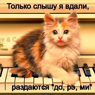 Слышащиеся вдали голоса