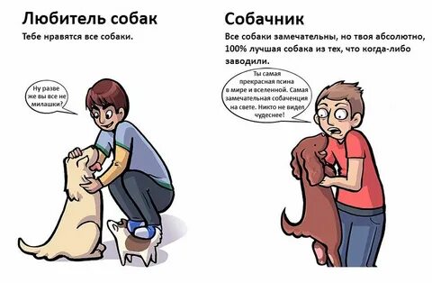 Передай хозяину