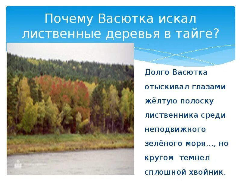 Путь Васютки в тайге. Карта путешествия Васютки. План карта путешествия Васютки. Маршрут путешествия Васютки. Синквейн васютки из рассказа васюткино озеро