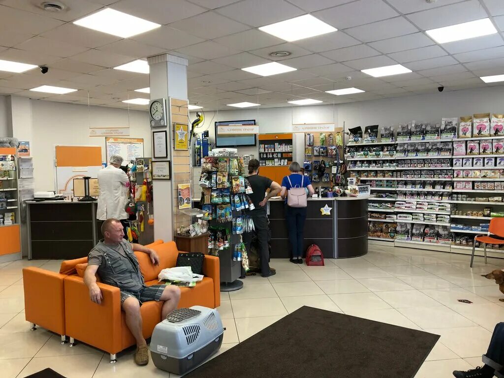 медвед ветклиника троицк. ветеринарный центр медвет домодедово. ветклиника медвет на вернадского. медвед москва ветеринарная клиника. вц медвет отзывы.