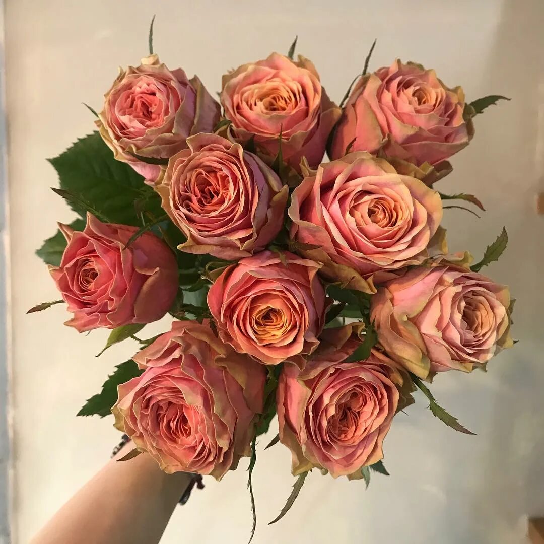 15 пионовидных роз Вайлд Лук. Букет 140 Kimbirly Flowers - купить в интернет-маг