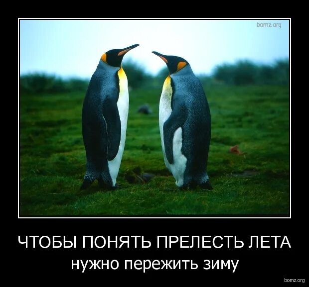Прелесть утро лето. Наслаждаемся летом. Полевые цветы в корзине. Летние цветочные композиции. Запах лета.