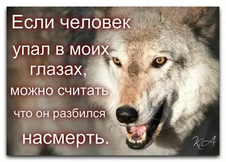 Низко павший