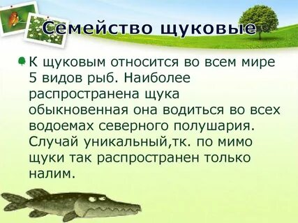 Щука семейство каких рыб