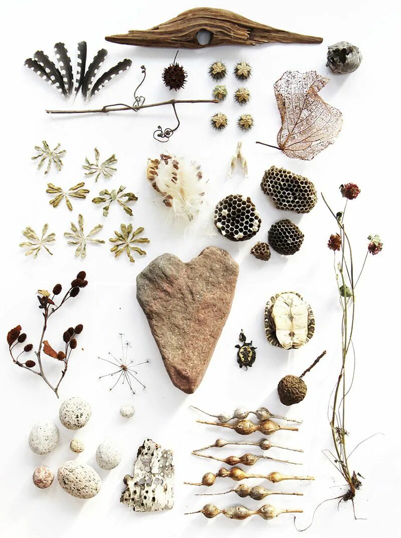 Natural objects. Natural object. nature objects. creative things from nature products. most popular nature objects.