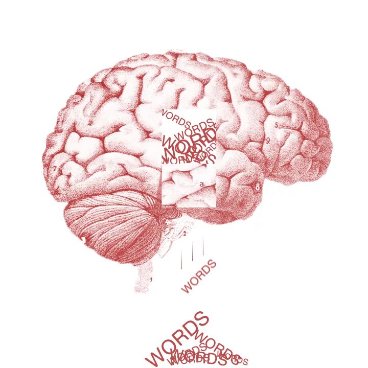 Brain languages. Язык и мозг. Соединение языка и мозга. Мозг выключен.