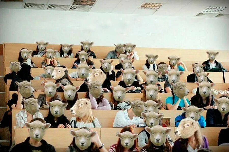 Смешные студенческие