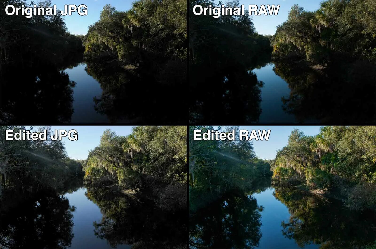 Jpg png разница. Raw Формат изображения. Что такое jpeg снимки. Raw и jpeg сравнение. Разница между jpeg и jpg.