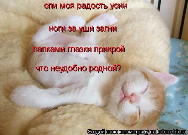 Спи быстрее картинки
