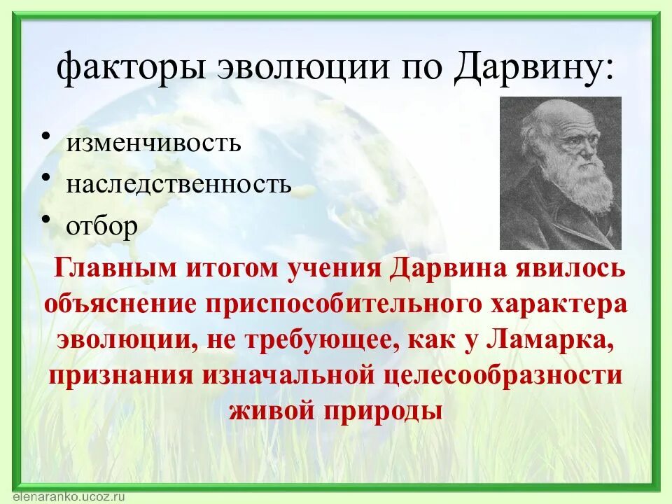 Являться объяснять. Эволюционное учение. Факторы эволюции. Факторы эволюции Дарвина. Основы эволюционного учения.