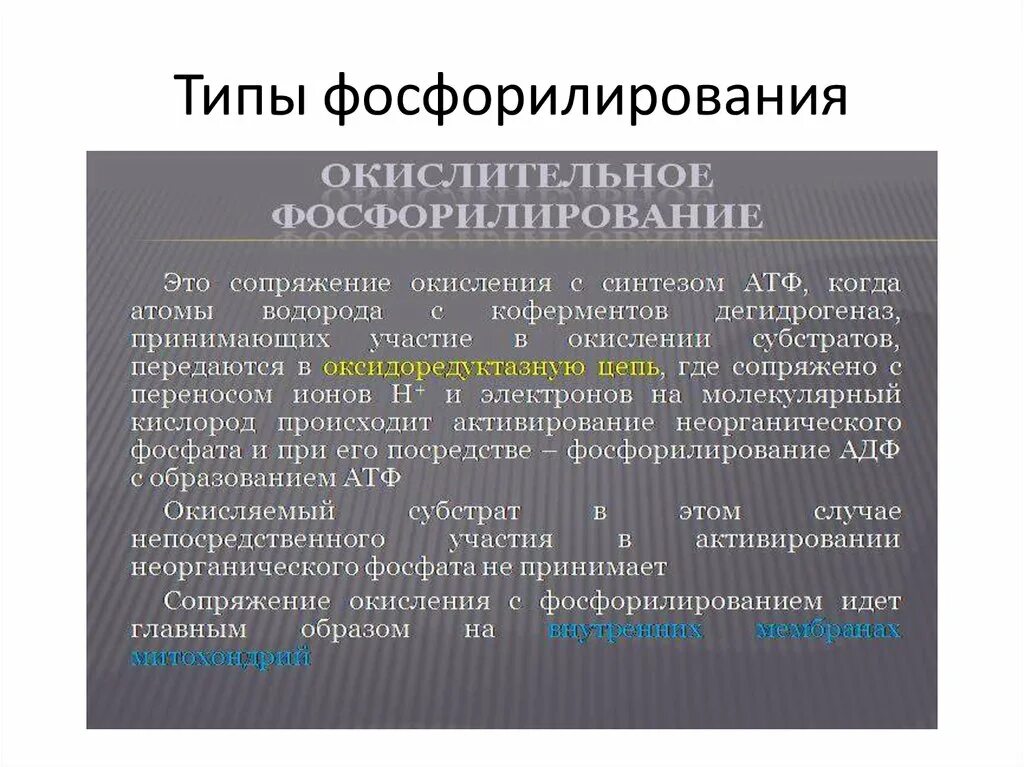 Реакция субстратного фосфорилирования в цтк. Реакция катализируемая фосфофруктокиназой. Субстратное фосфорилирование характеристика. Субстратное фосфорилирование пируваткиназа. Высокоэнергетические соединения биохимия.