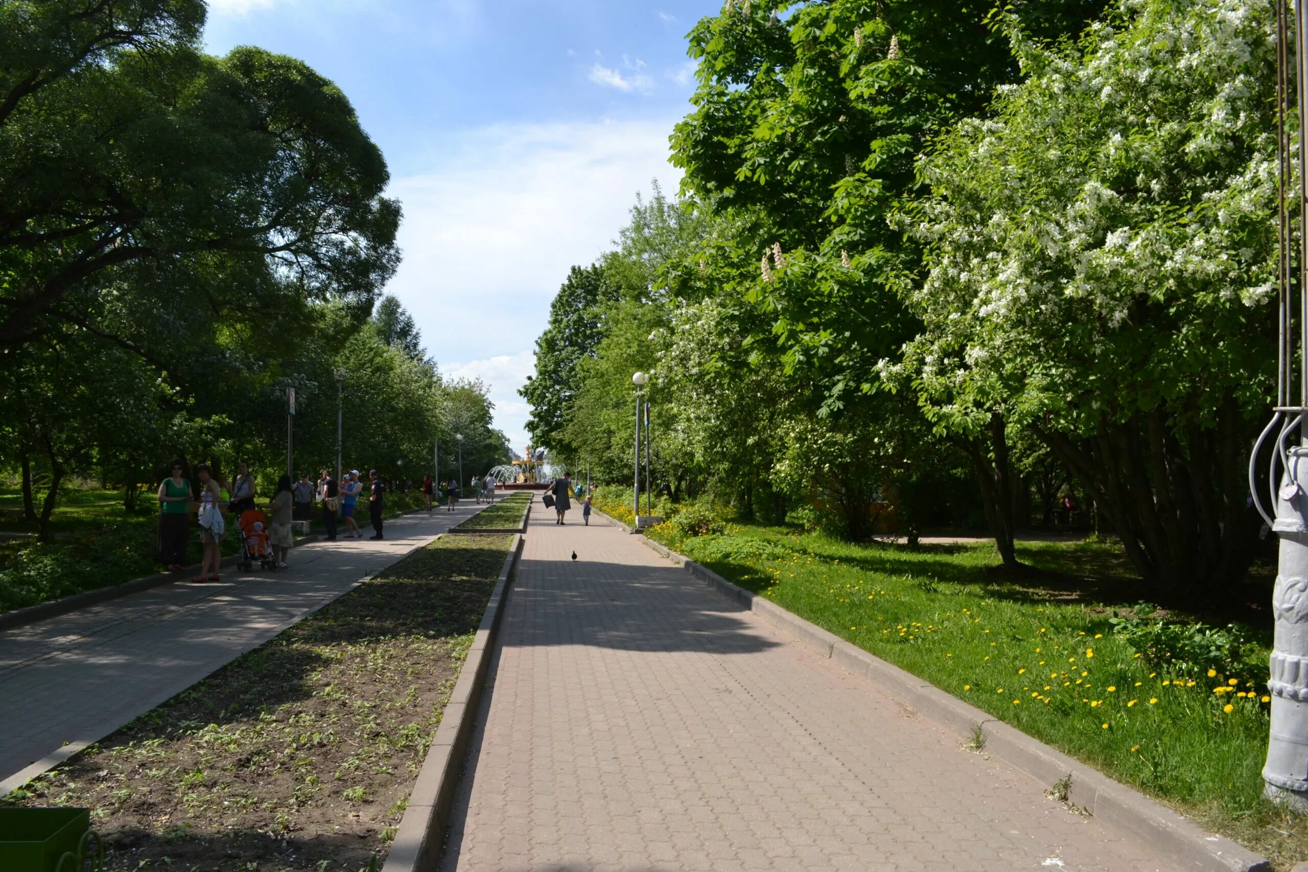 Парк Ленинского Комсомола Череповец. Семёнов парк Ленинского Комсомола. Сквер Ленинского Комсомола Бендеры. , Парка имени Ленинского Комсомола. Парк комсомолл