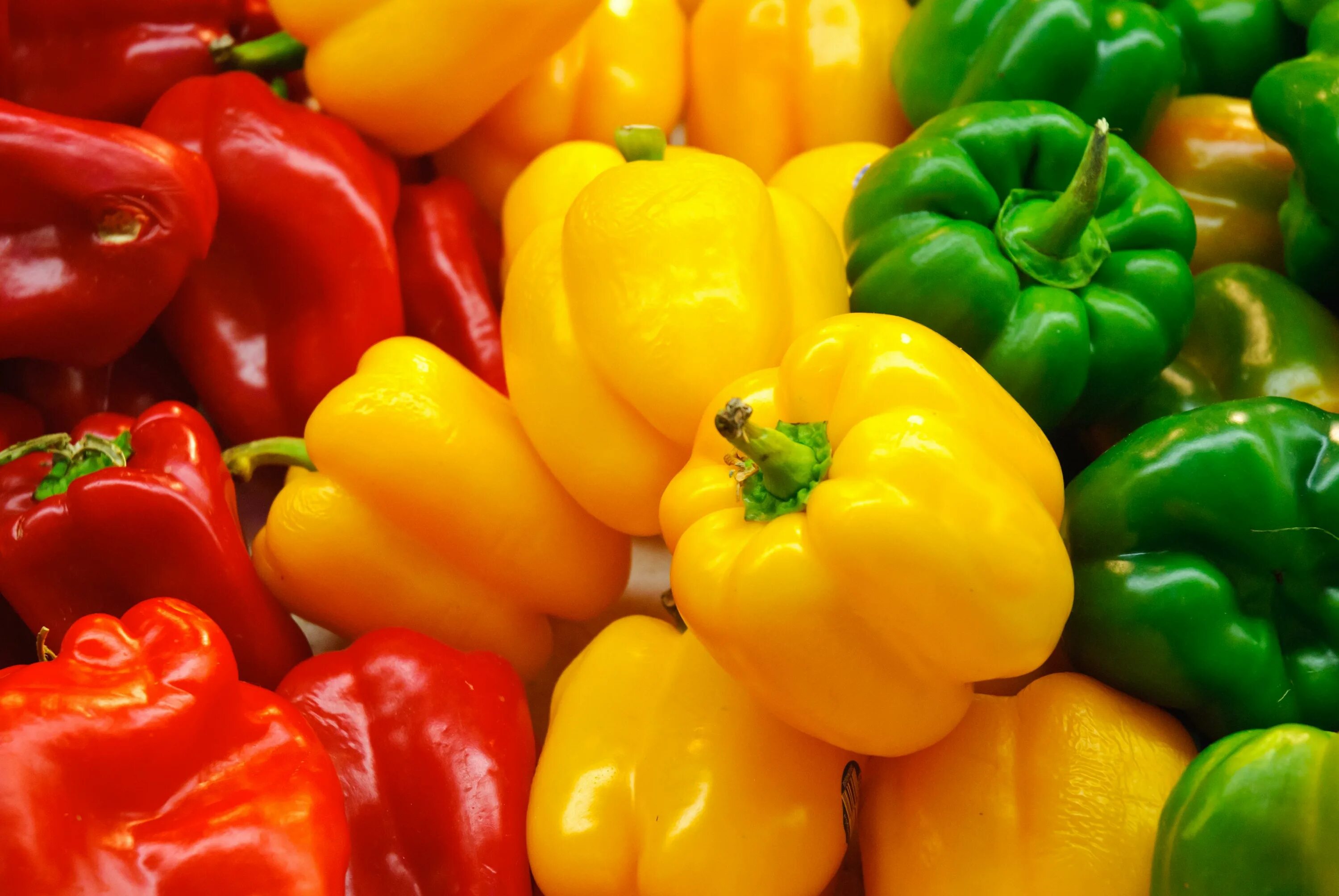 Capsicum. Болгарский капсикум перец. перец capsicum annuum сладкий. перец болгарский йеллоу. перец сладкий ассорти..