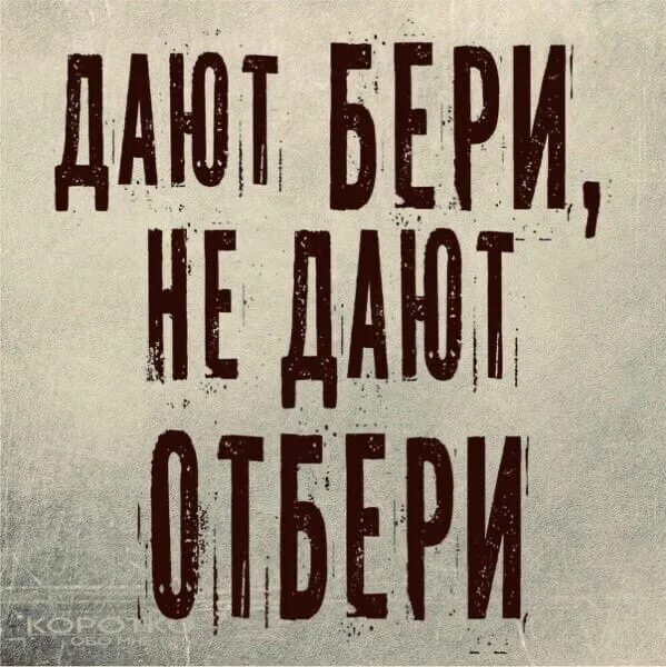 Даю возьмешь. Нелли каплан. дают бери не дают отбери. основа вся тут. дают отбери не дают отбери.