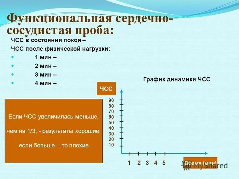 Работа функциональная сердечно сосудистая проба